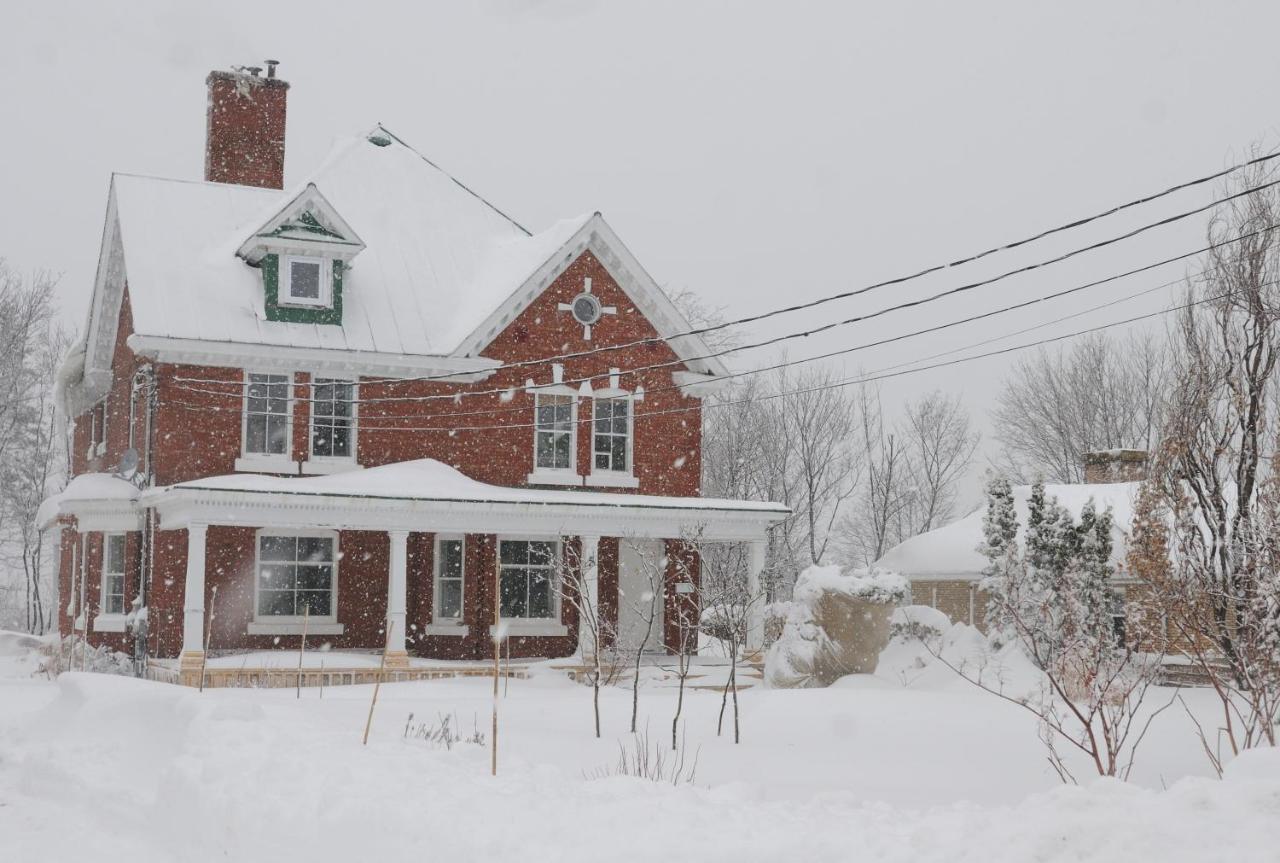 Napier House Apartment Campbellton Luaran gambar